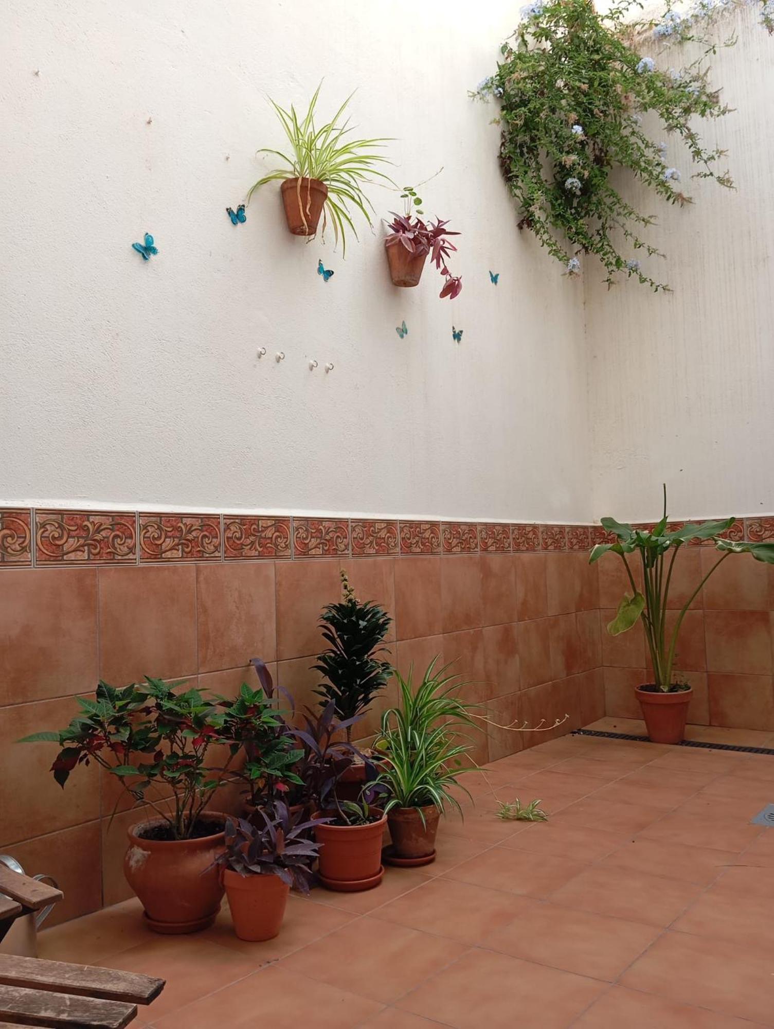 Apartamento Amapola Màlaga Exteriér fotografie